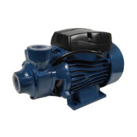 Boss qb60 water pump